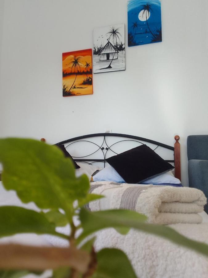 Ocean Surf Lodge 塔哈佐特 外观 照片